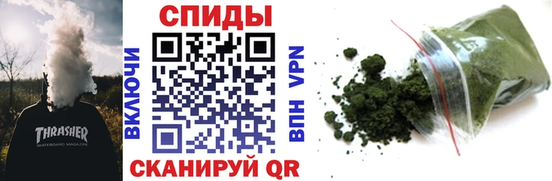 БУТИРАТ буратино  Купить где  Курлово 