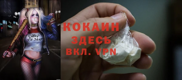 соль ск Кулебаки