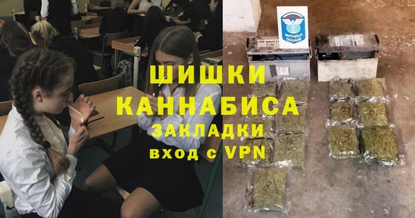 соль ск Кулебаки